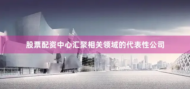 股票配资中心汇聚相关领域的代表性公司