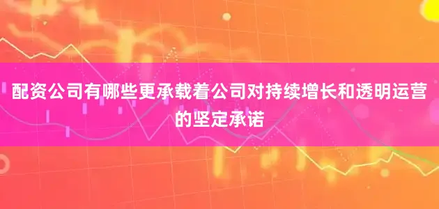 配资公司有哪些更承载着公司对持续增长和透明运营的坚定承诺
