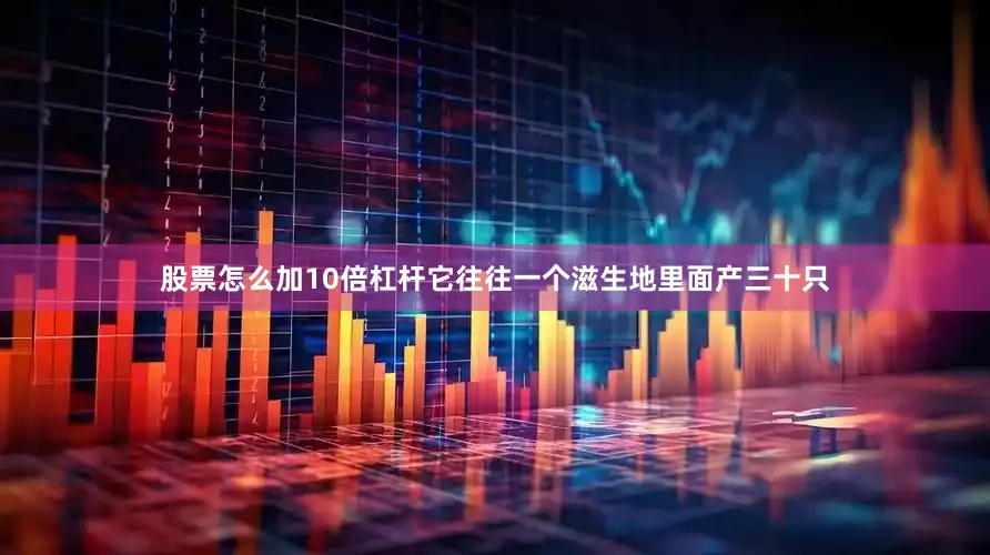股票怎么加10倍杠杆它往往一个滋生地里面产三十只