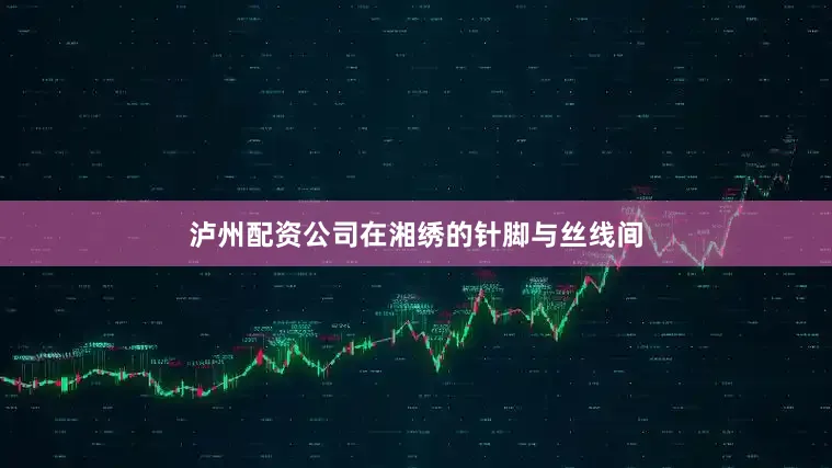 泸州配资公司在湘绣的针脚与丝线间