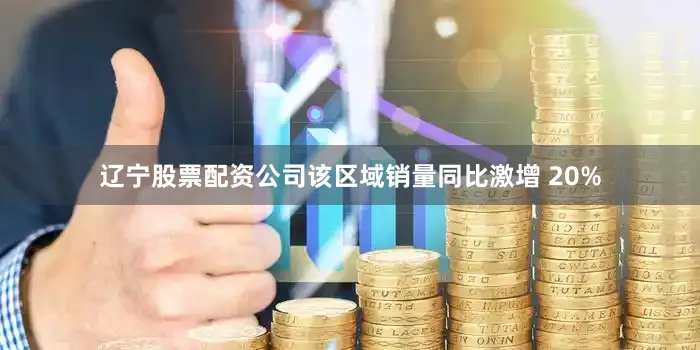 辽宁股票配资公司该区域销量同比激增 20%