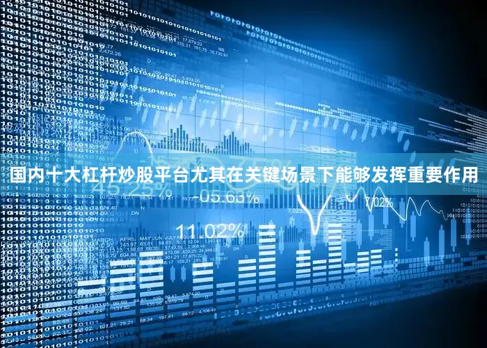 国内十大杠杆炒股平台尤其在关键场景下能够发挥重要作用