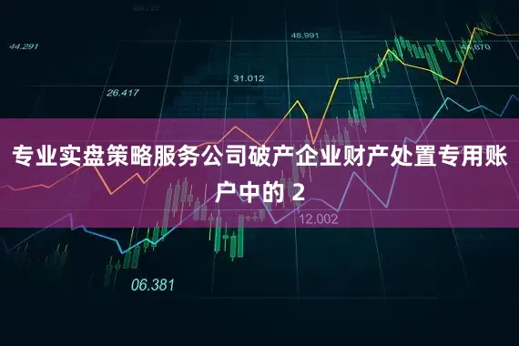 专业实盘策略服务公司破产企业财产处置专用账户中的 2