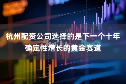 杭州配资公司选择的是下一个十年确定性增长的黄金赛道